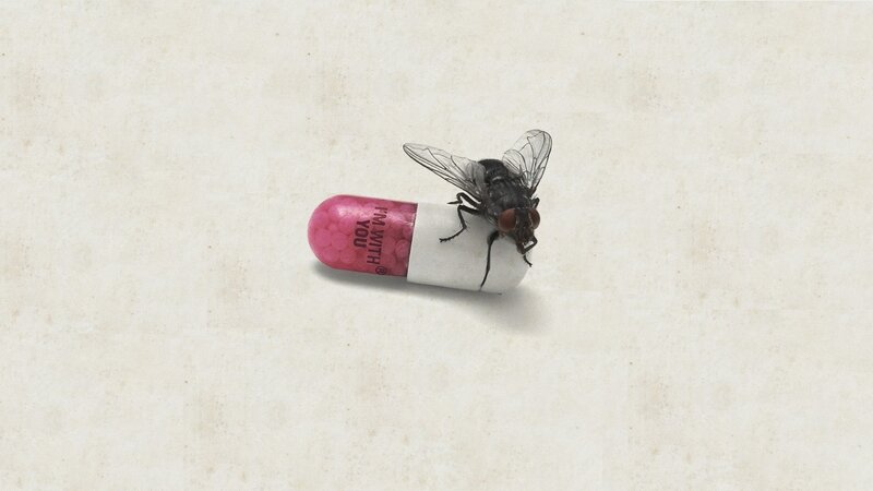 Fly on Capsule — Pink, Neutral