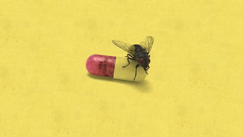 Fly on Capsule — Yellow