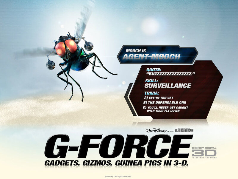Fly with Gadgets