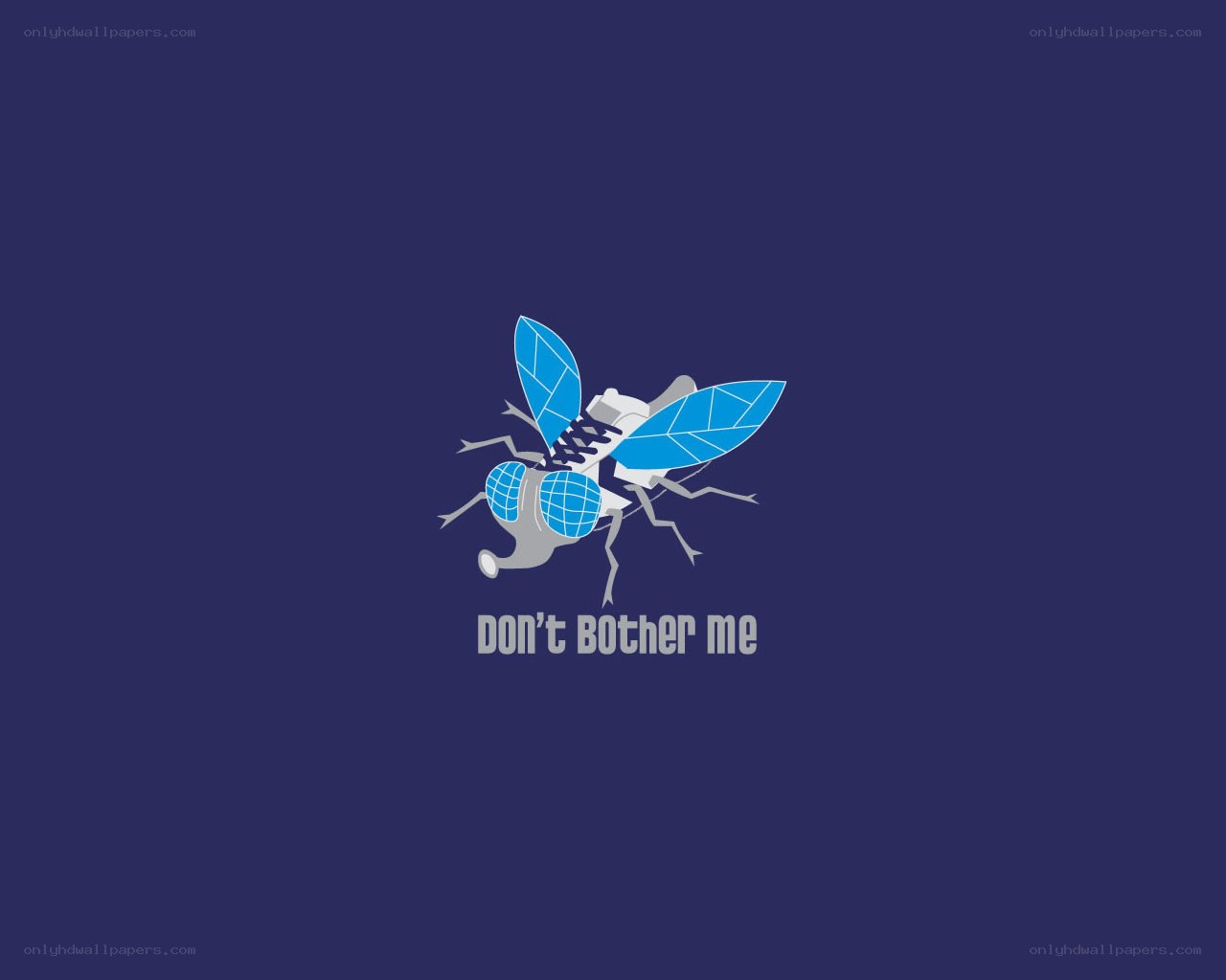 fly with sneakers design