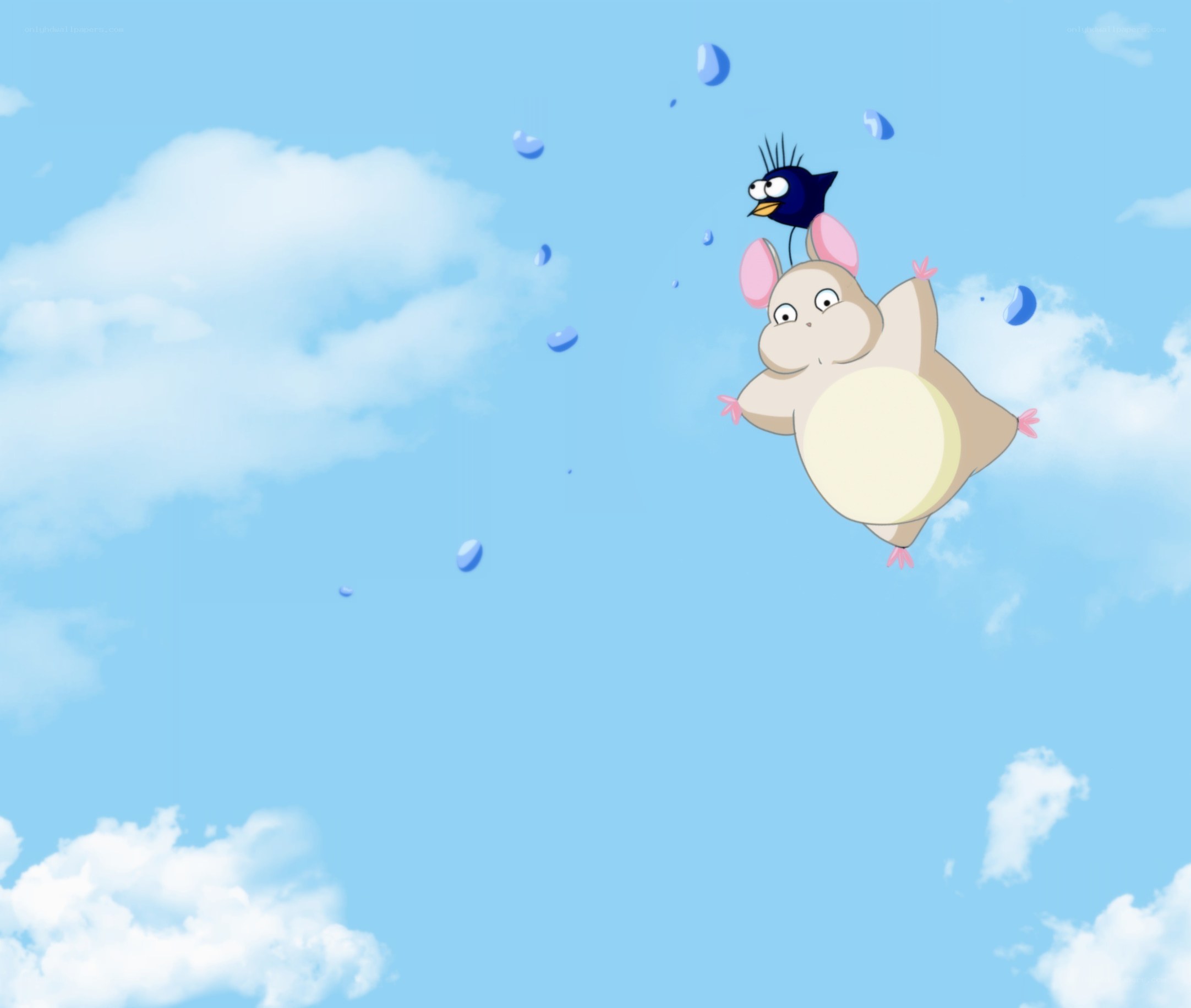 Flying animals in the sky