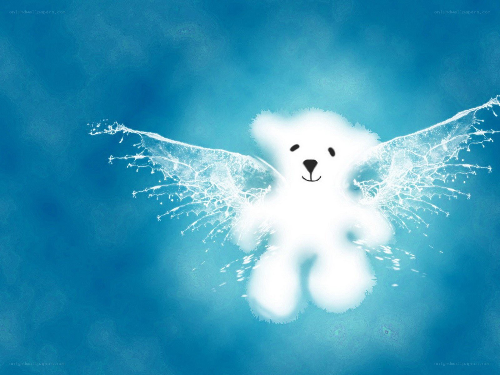 flying bear with water wings