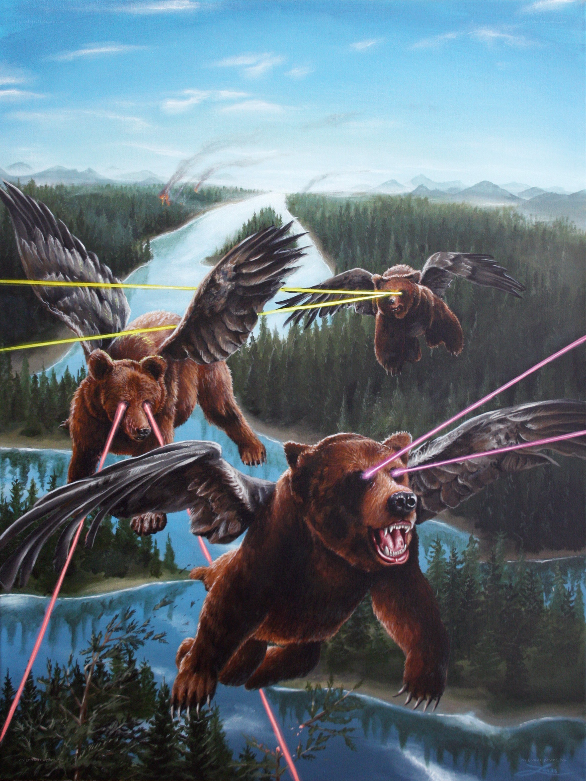 flying bears with laser eyes