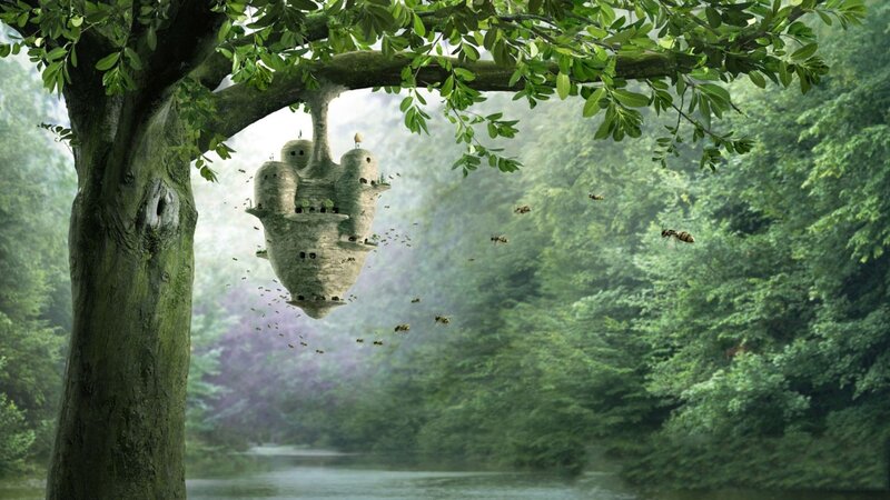 flying beehive in forest