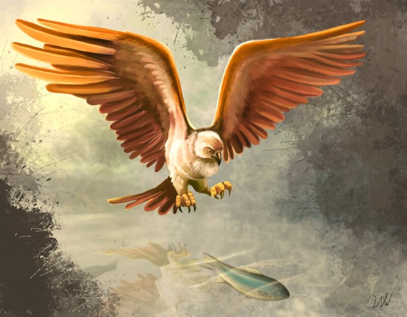 Flying Bird Catching Fish