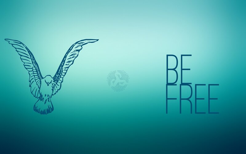 Flying Bird Illustration — Teal