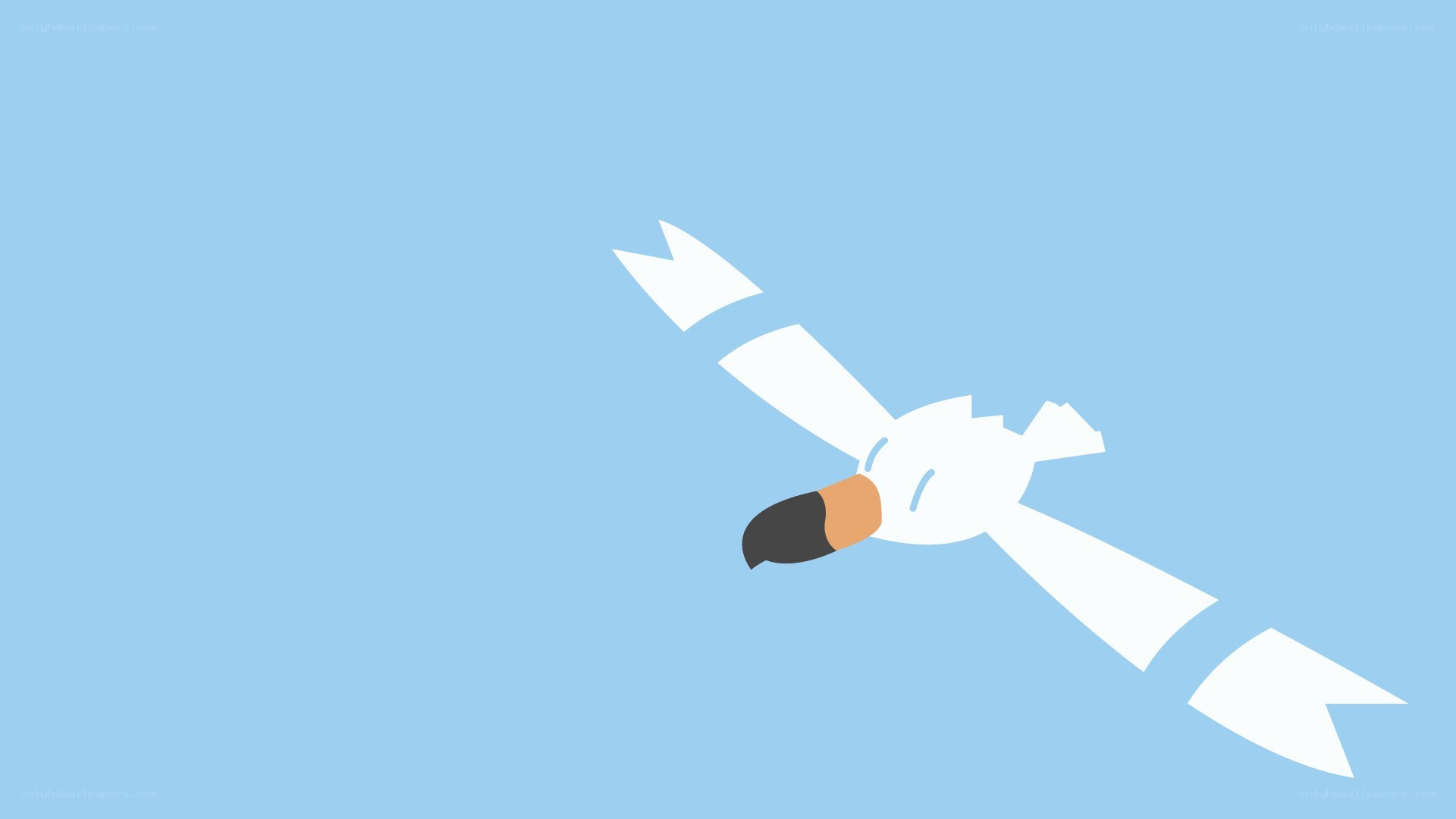 flying bird in blue sky