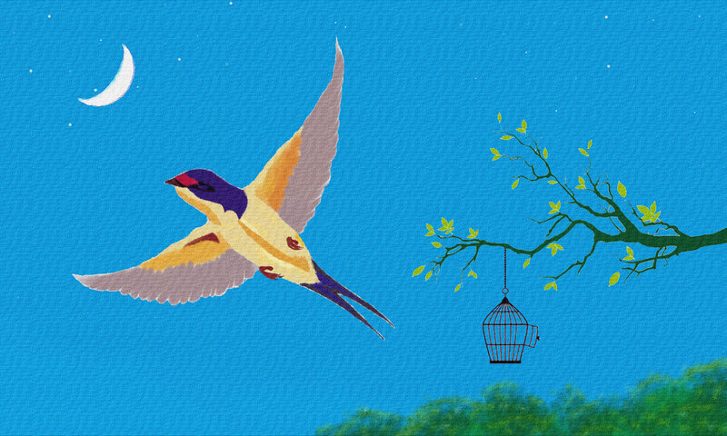 Flying Bird Near Cage