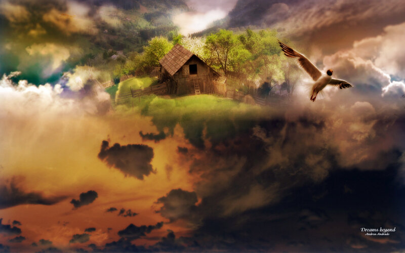 Flying Bird over Cabin
