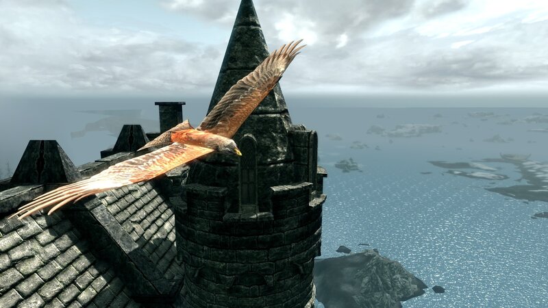 flying bird over castle