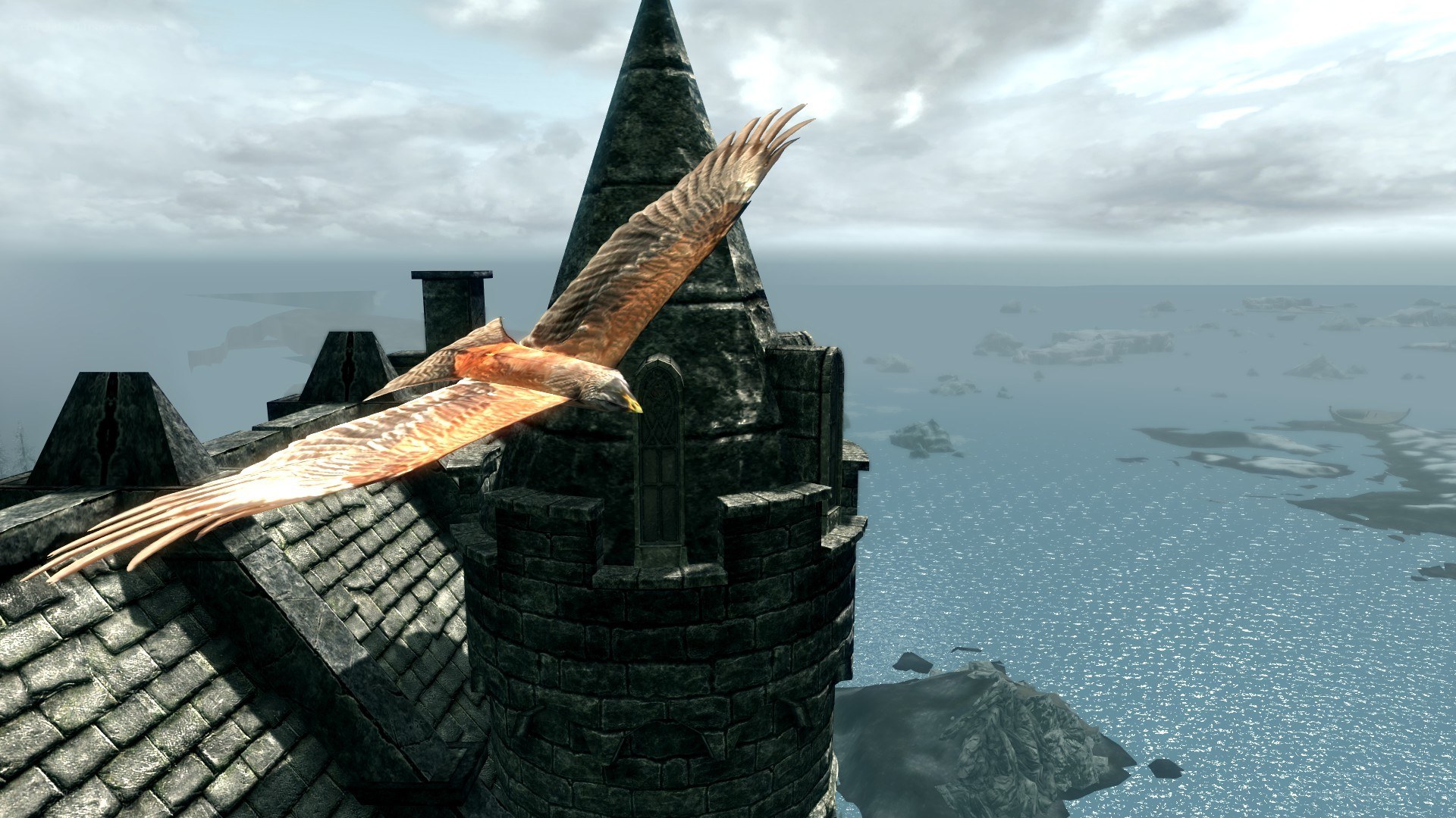 flying bird over castle