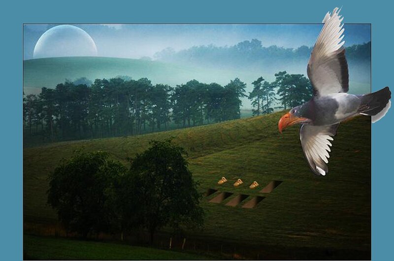 Flying Bird over Hills