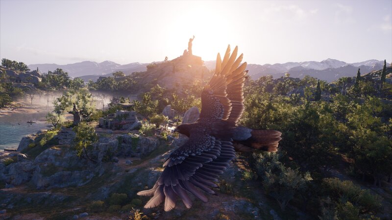 Flying Bird over Landscape