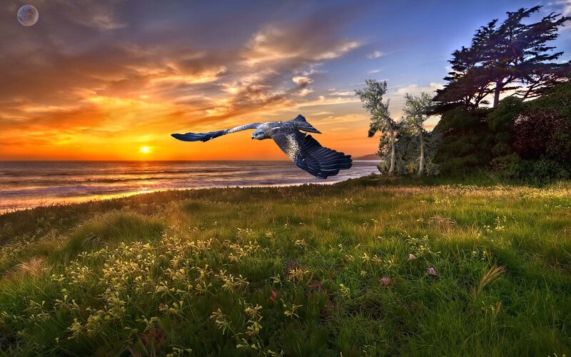 Flying Bird over Ocean