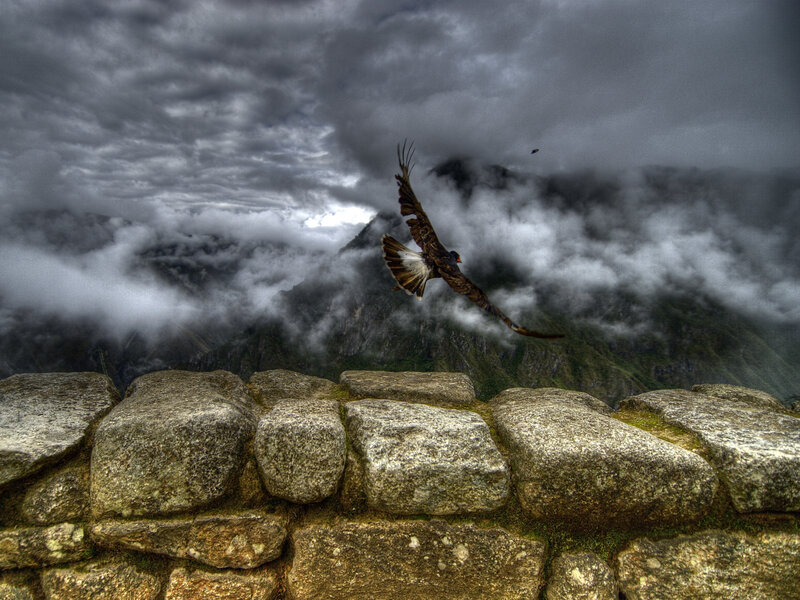 Flying Bird over Ruins — Gray, Dramatic, Photograph, Stone Wall, Mountains, Clouds