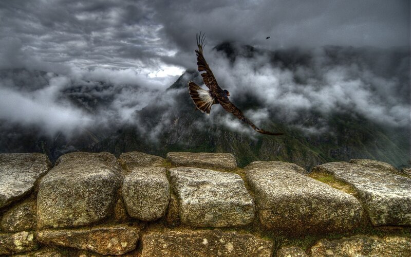 Flying Bird over Ruins — Gray, Dramatic, Photograph, Stone Wall, Mountains