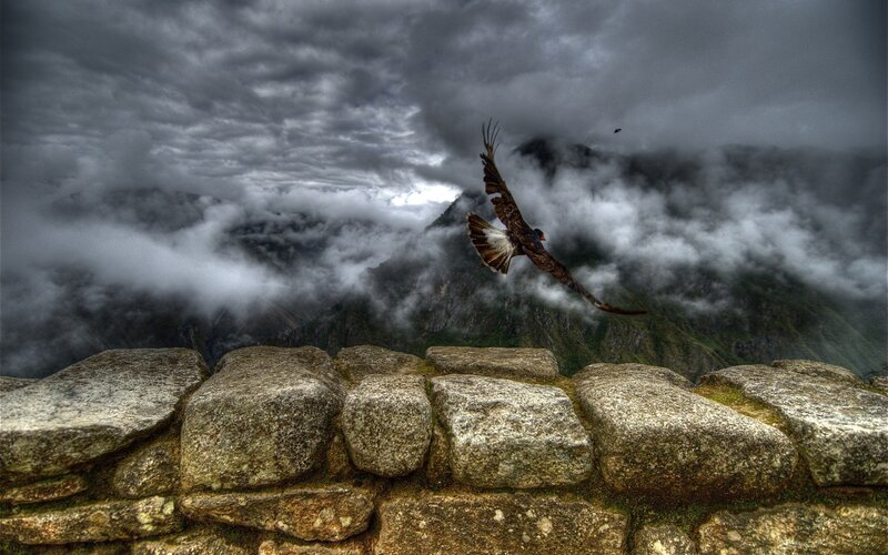 Flying Bird over Ruins — Gray, Dramatic, Photograph, Stone Wall