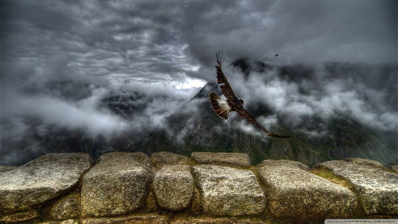 Flying Bird over Ruins — Gray, Dramatic
