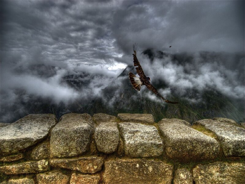 Flying Bird over Ruins