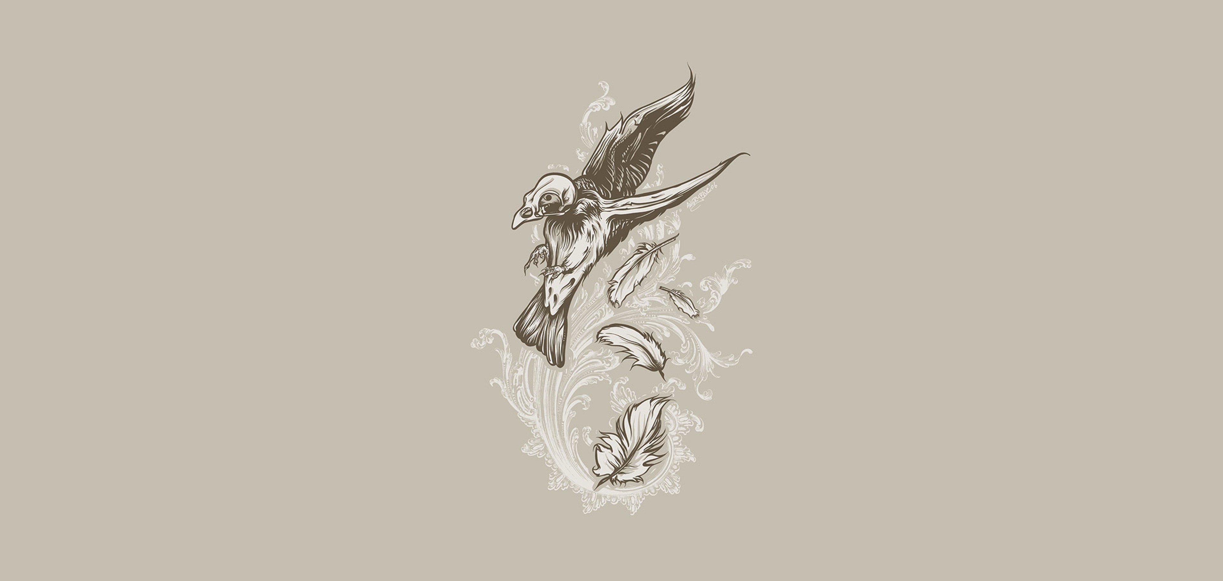 flying bird with feathers