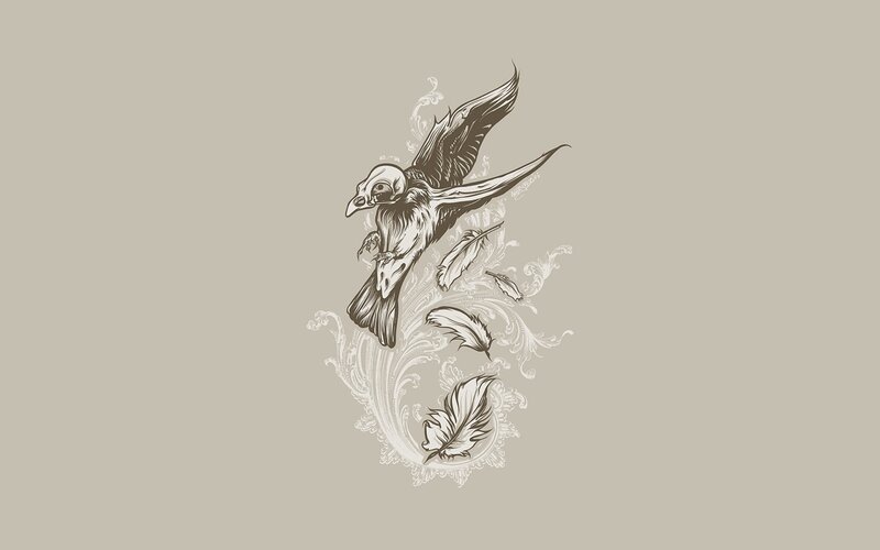 flying bird with feathers