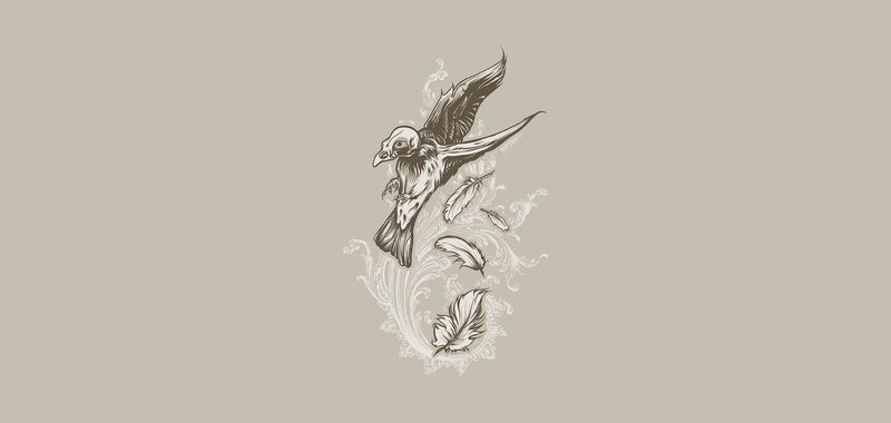 Flying Bird with Feathers — Gray, Calm