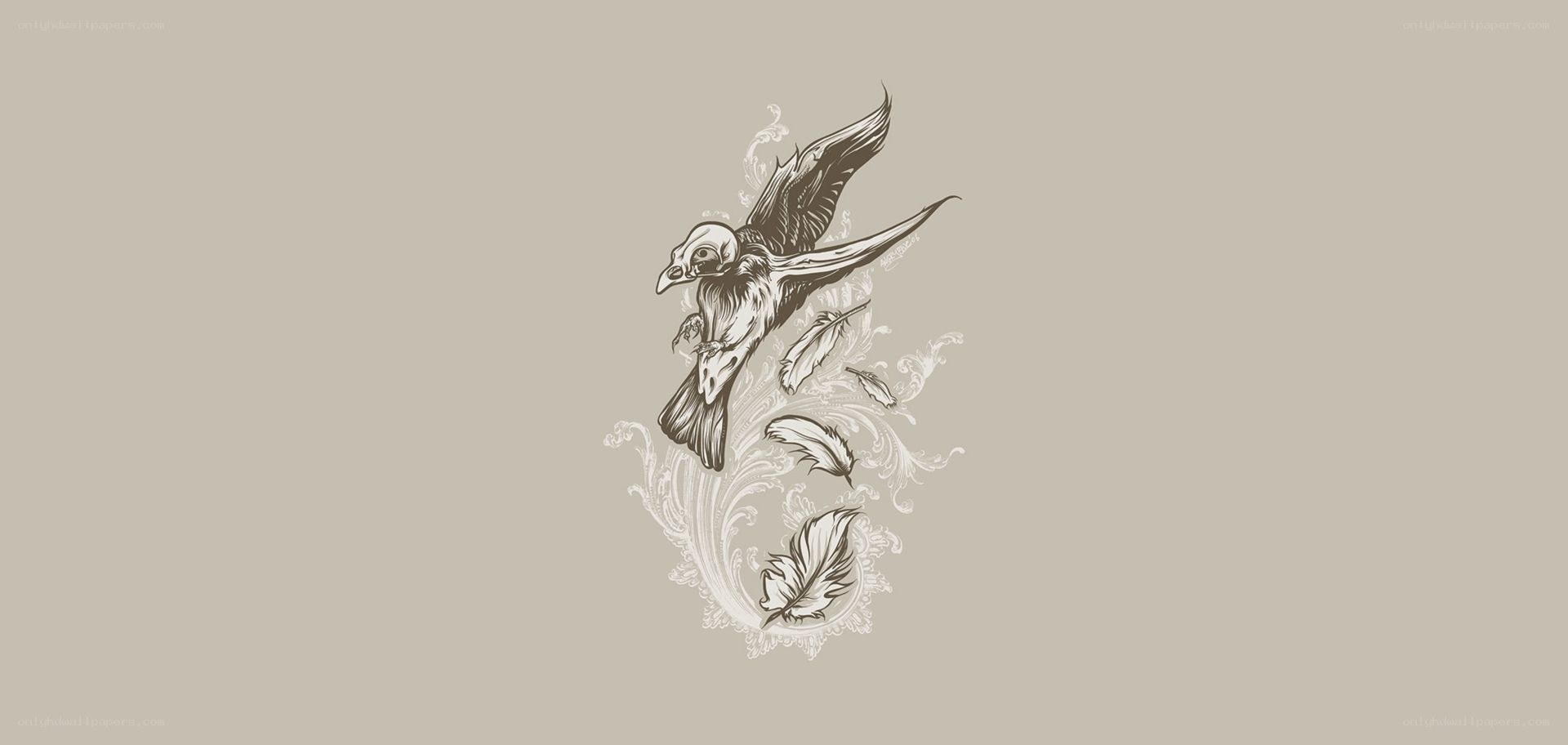 flying bird with feathers