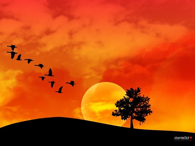 Flying Birds and Tree