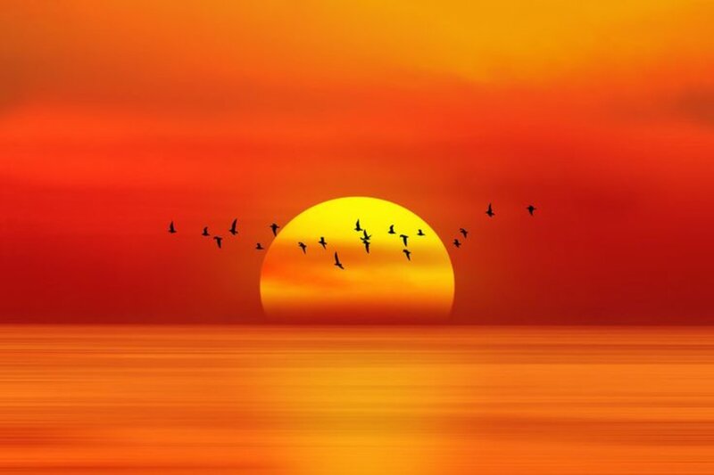 Flying Birds at Sunset — Orange, Serene, Photograph