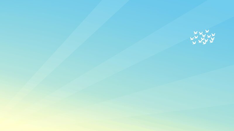 flying birds in blue sky