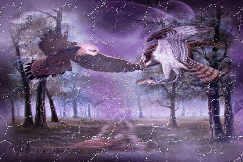 Flying Birds in Forest