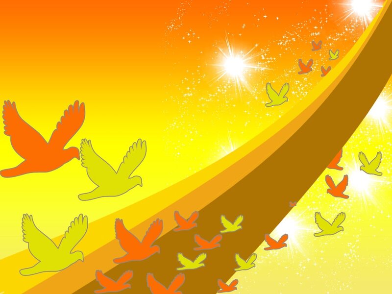 Flying Birds in Sky
