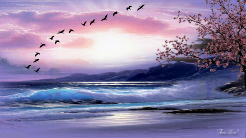 Flying Birds over Ocean