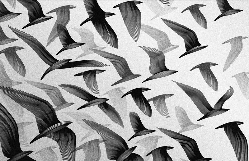 Flying Birds Pattern — Black