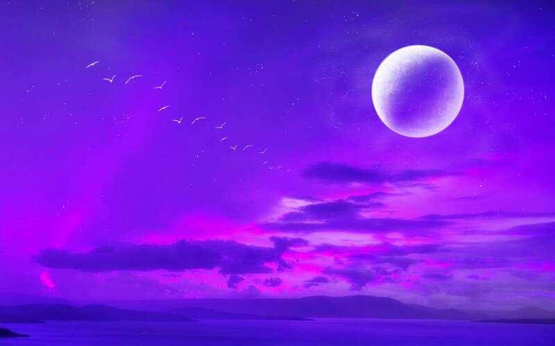Flying Birds under Moon