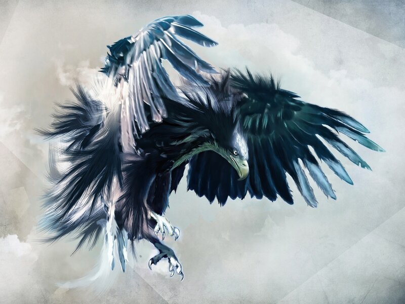 Flying Black Eagle — Dramatic, Digital Art, Wings, Claws