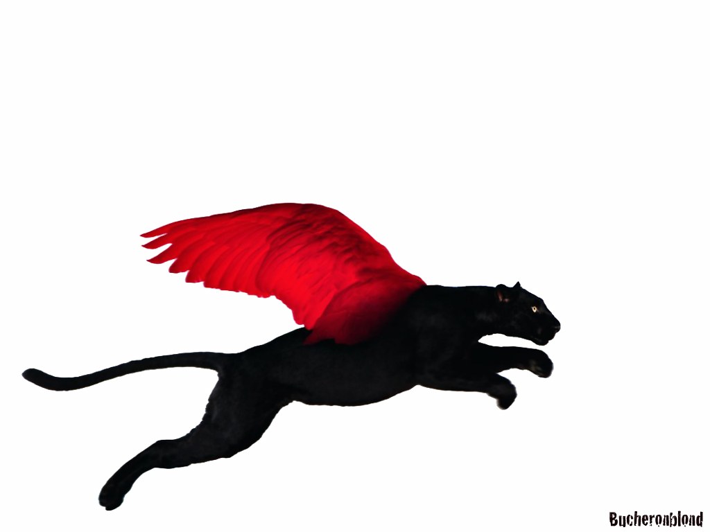 flying black panther with red wings