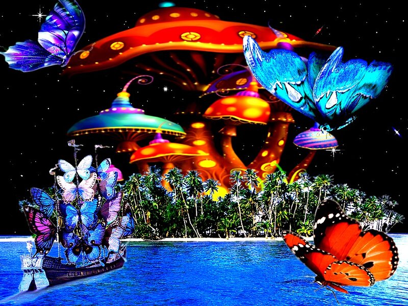 Flying Butterflies on Island