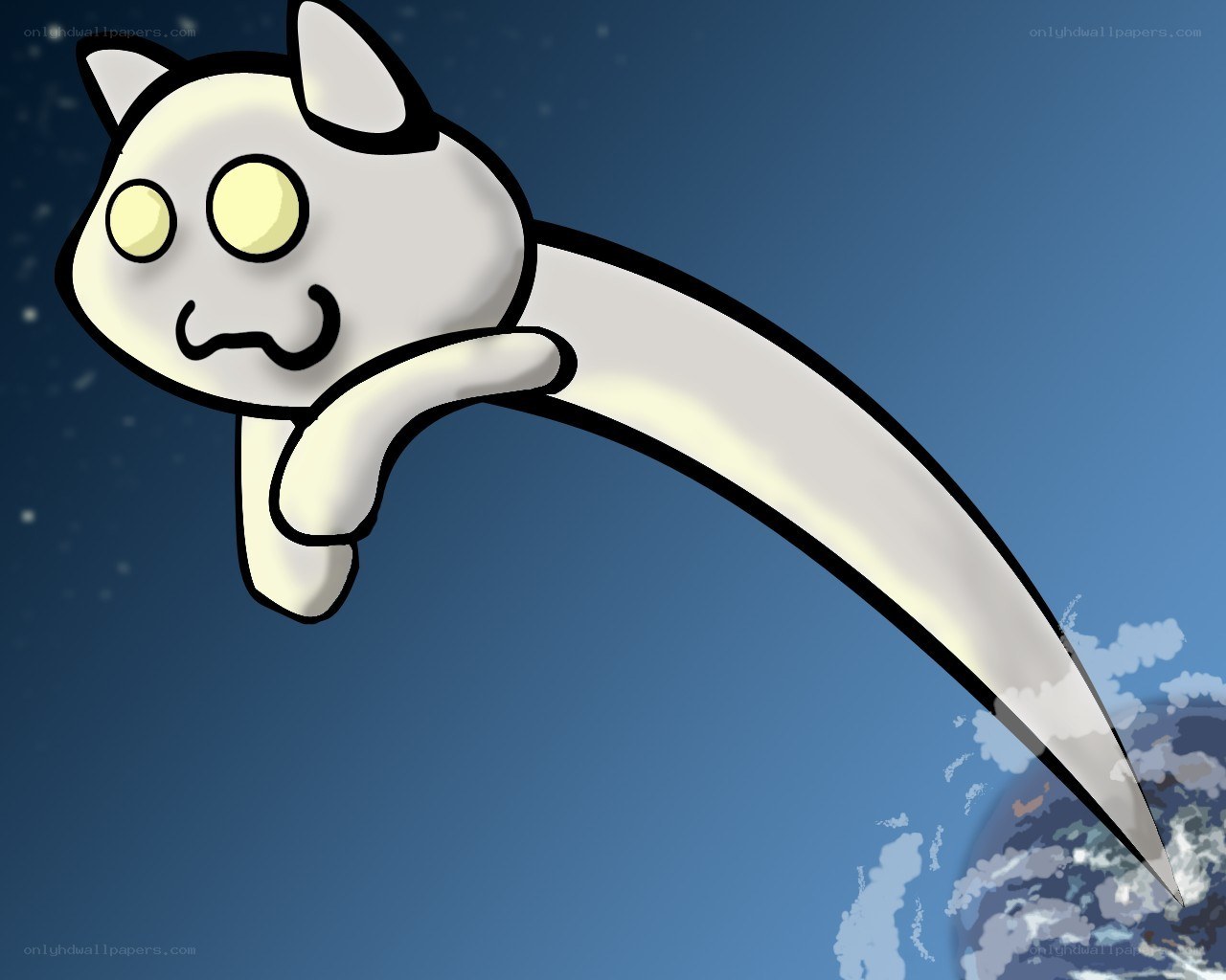 flying cat over earth