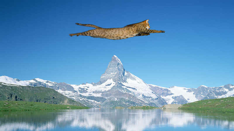 Flying Cat over Mountain