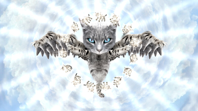 Flying Cat with Wings — Gray