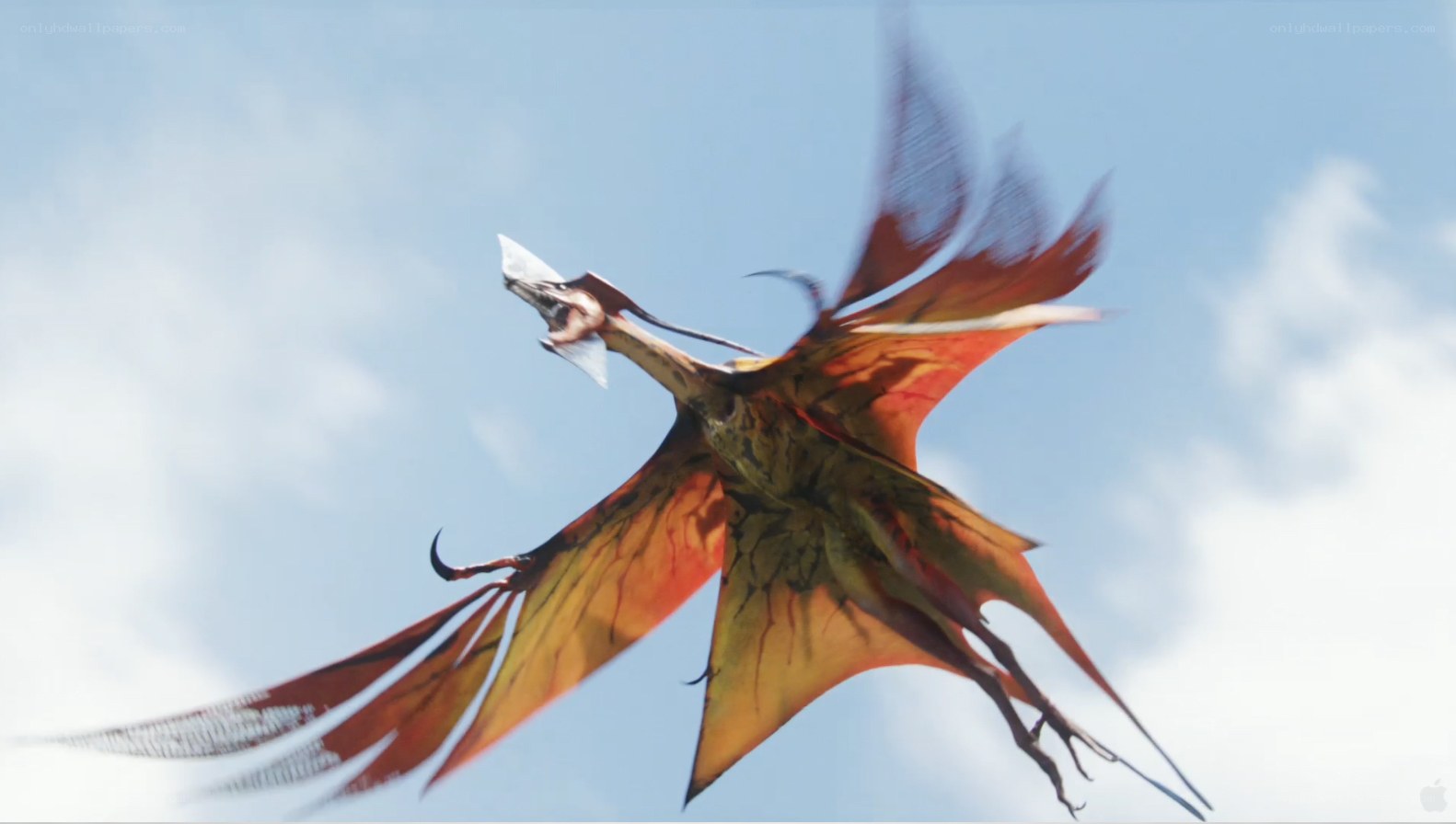flying creature in sky