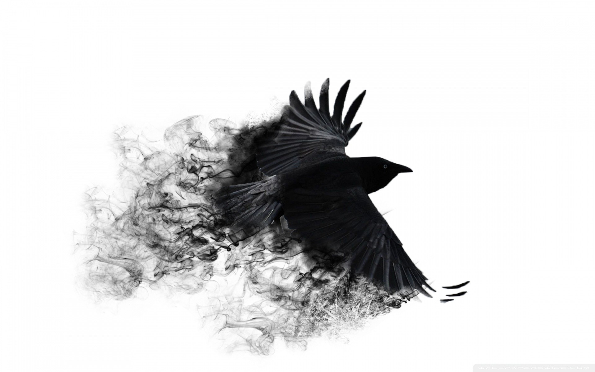 flying crow in smoke