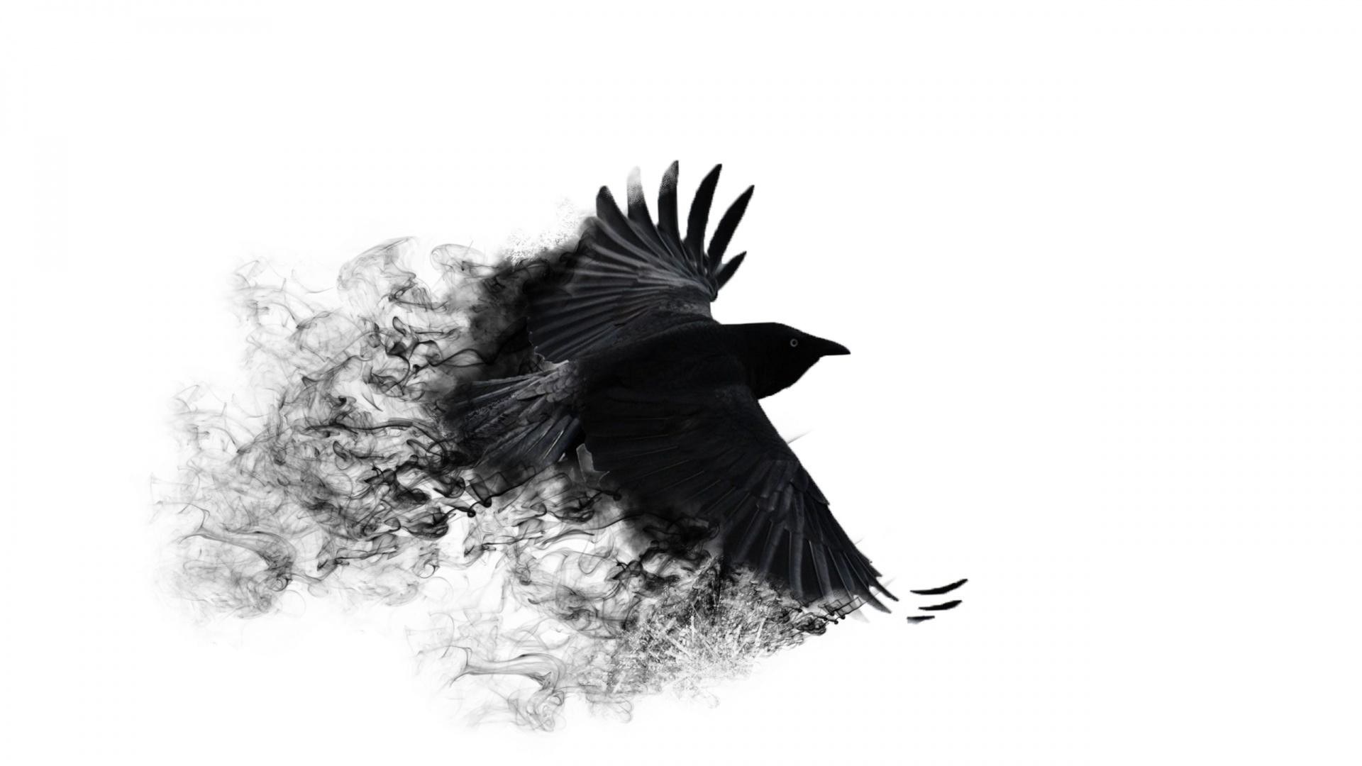 flying crow in smoke
