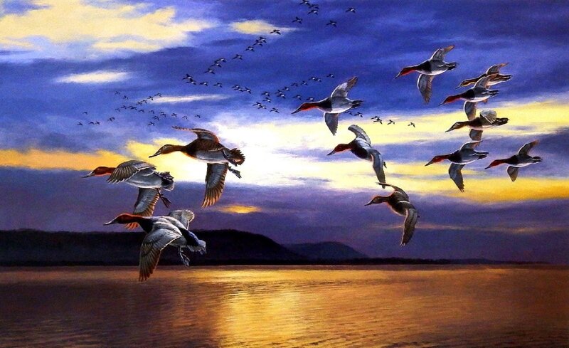 Flying Ducks at Sunset — Blue