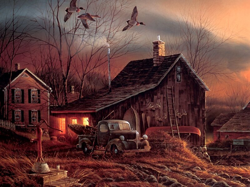 Flying Ducks over Farm — Orange