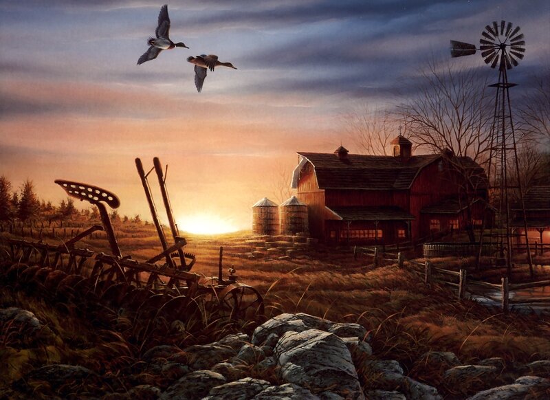 Flying Ducks over Farm