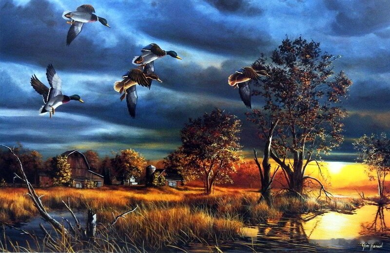 Flying Ducks over Marsh