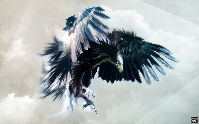 flying eagle in clouds
