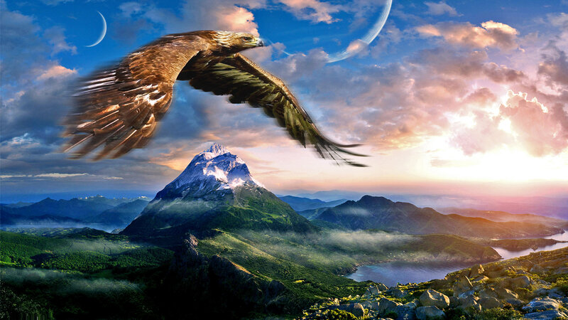 Flying Eagle over Mountain